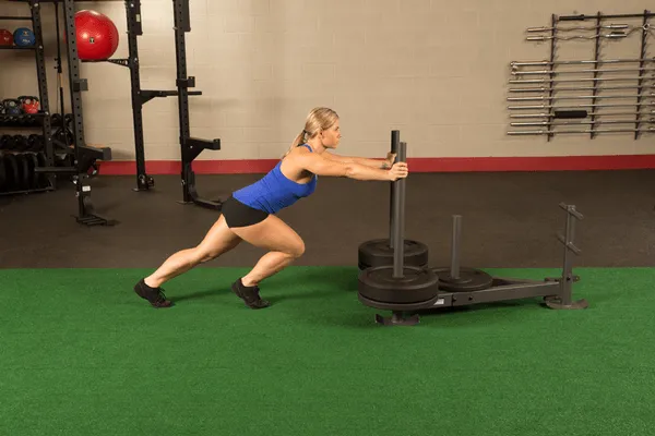 GSW100 Weight Sled