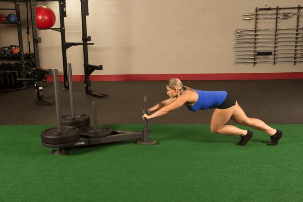 GSW100 Weight Sled