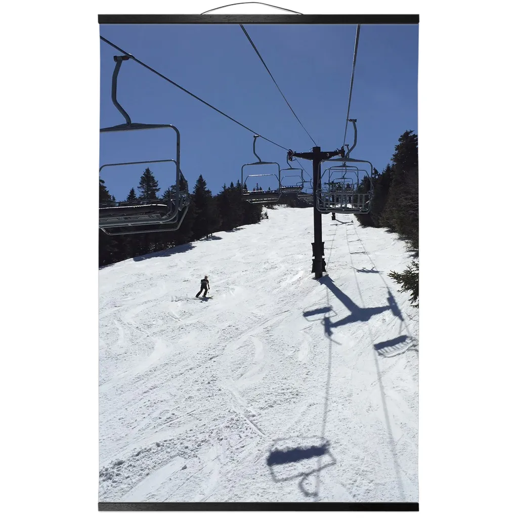 Hanging Canvas Print - Blue Bird Skiing