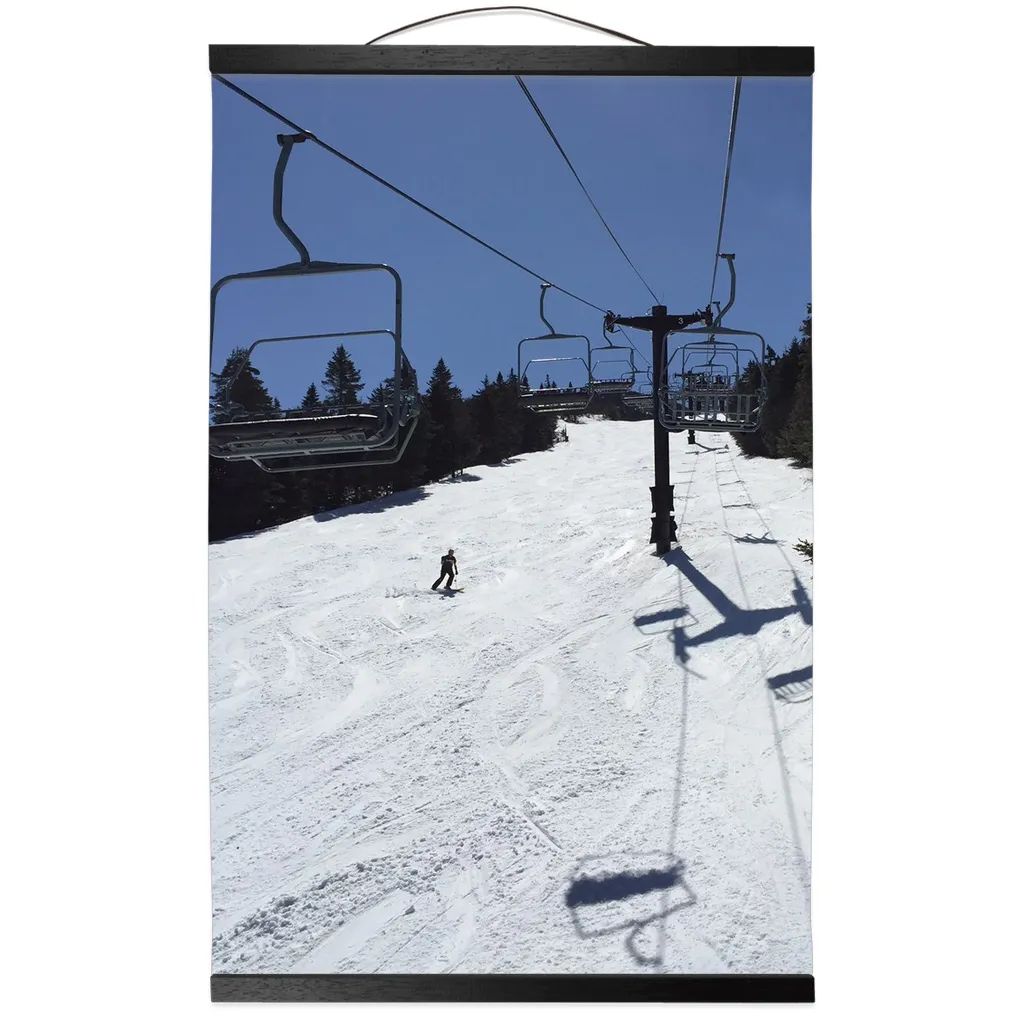 Hanging Canvas Print - Blue Bird Skiing