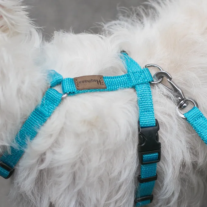 Haqihana Arctic Harness