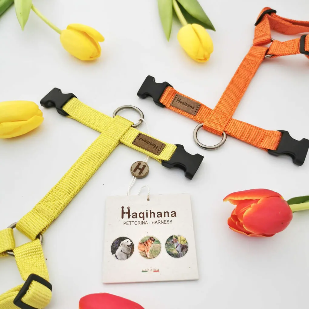 Haqihana Carrot Harness