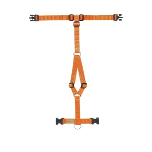 Haqihana Carrot Harness
