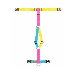 Haqihana Limited Edition Unicorn Harness