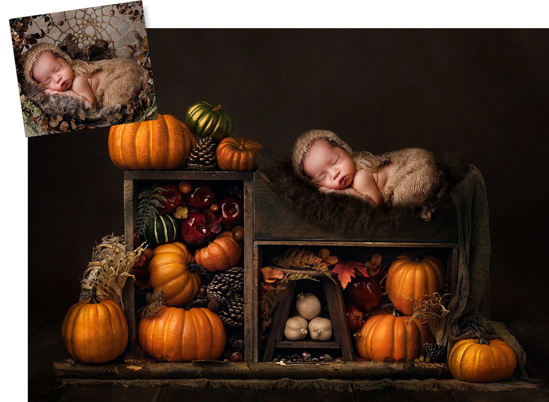 Harvest Digital Background