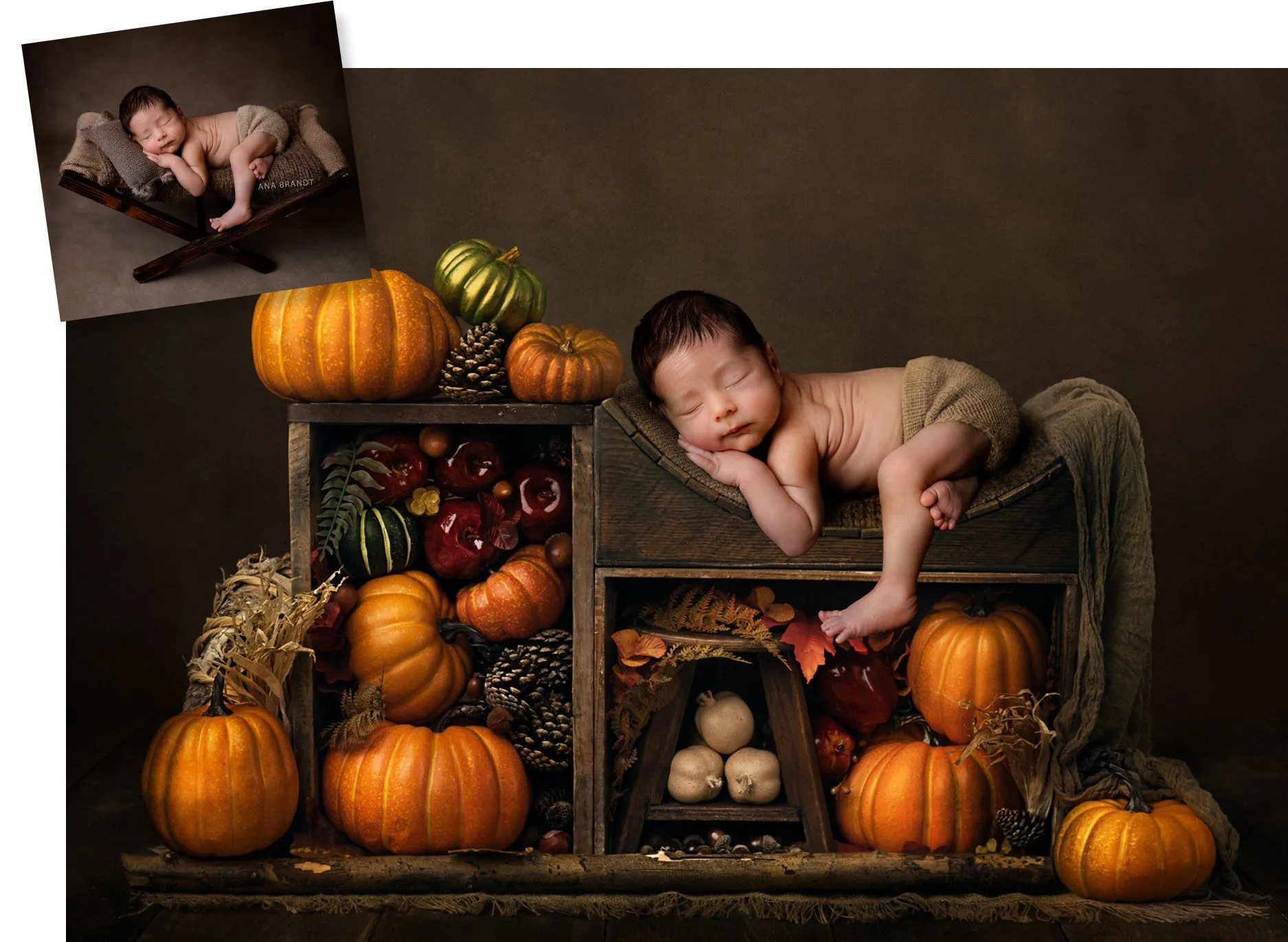 Harvest Digital Background