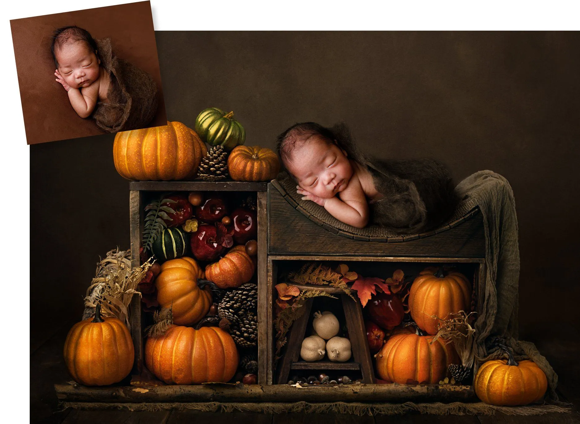 Harvest Digital Background
