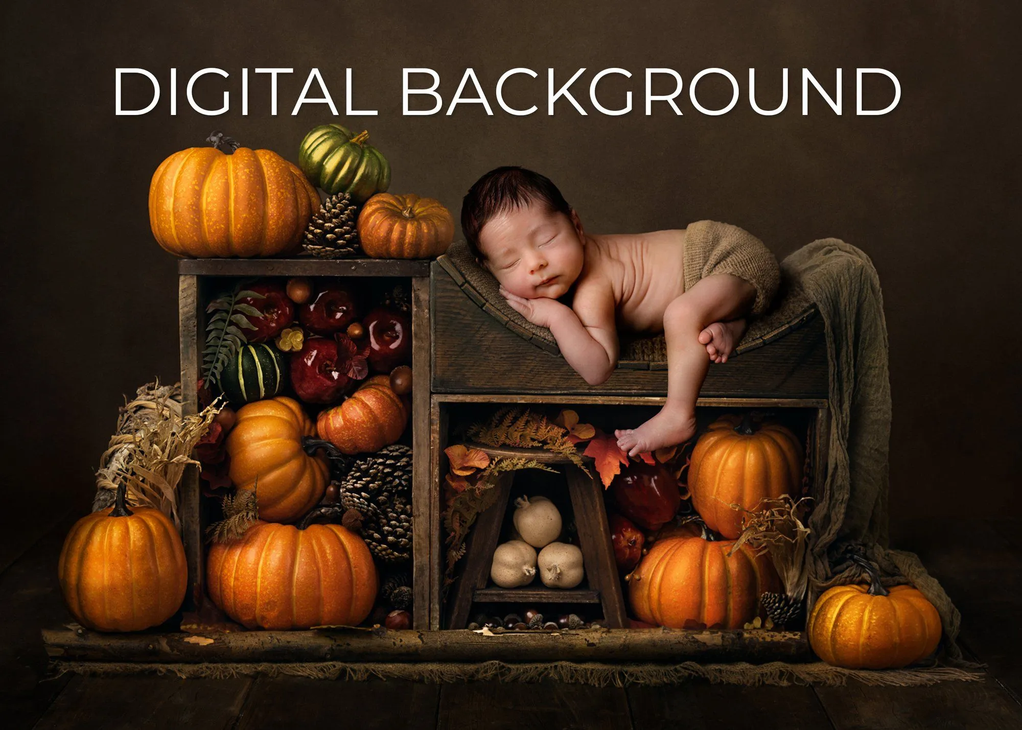 Harvest Digital Background