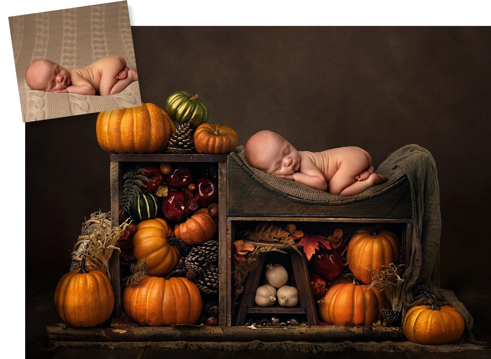 Harvest Digital Background