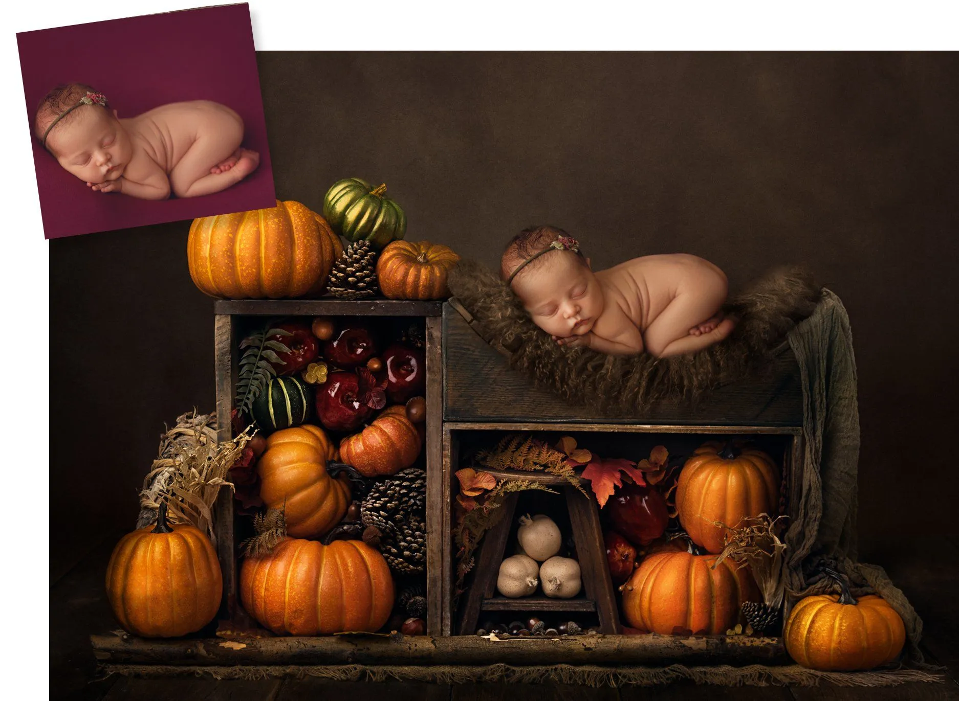 Harvest Digital Background