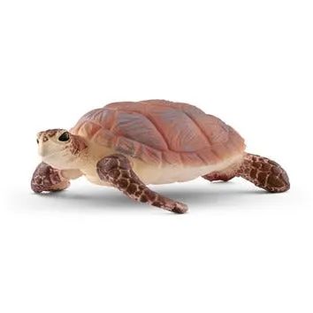 Hawksbill Sea Turtle