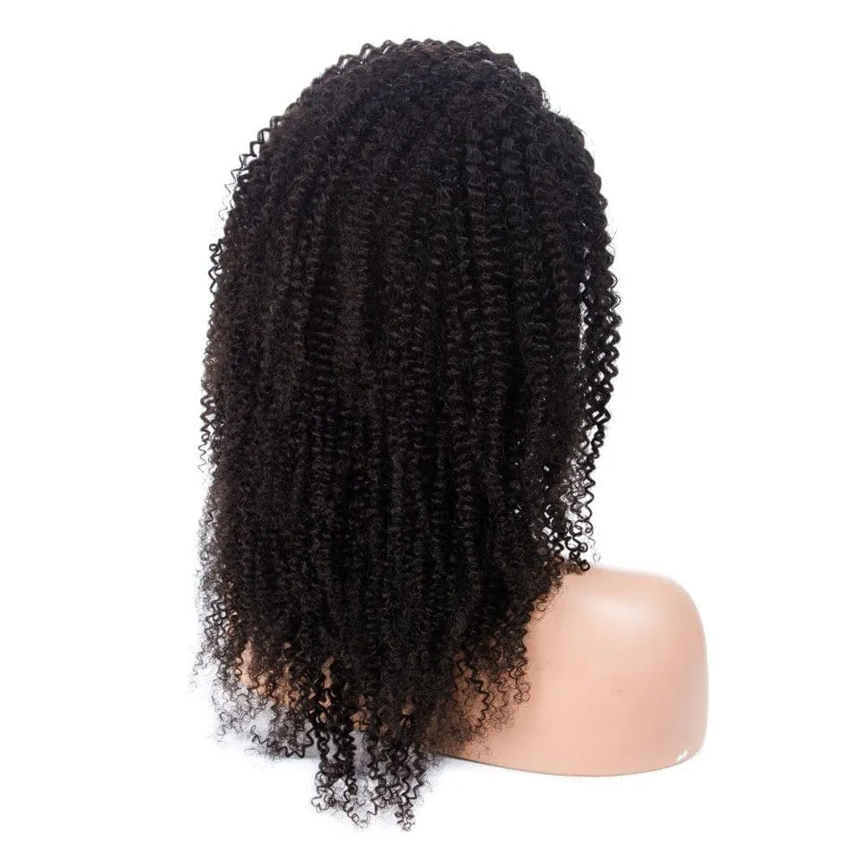 HD Lace Kinky Curly Human Hair Full Lace Wig AAB18