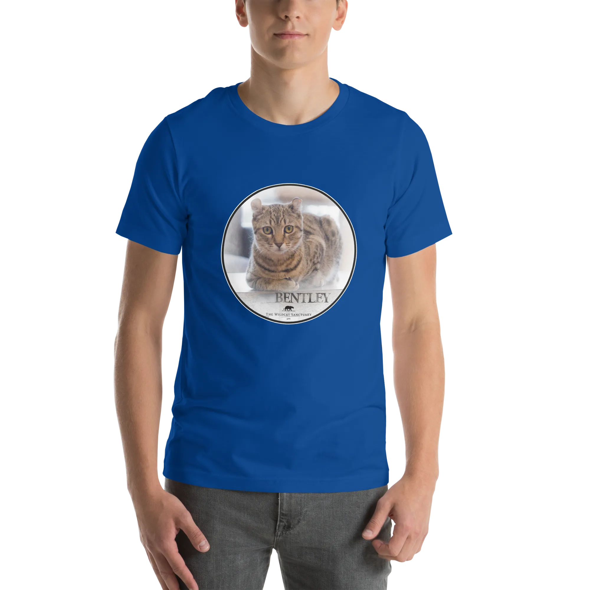 Highlander Lynx Hybrid Bentley Unisex t-shirt