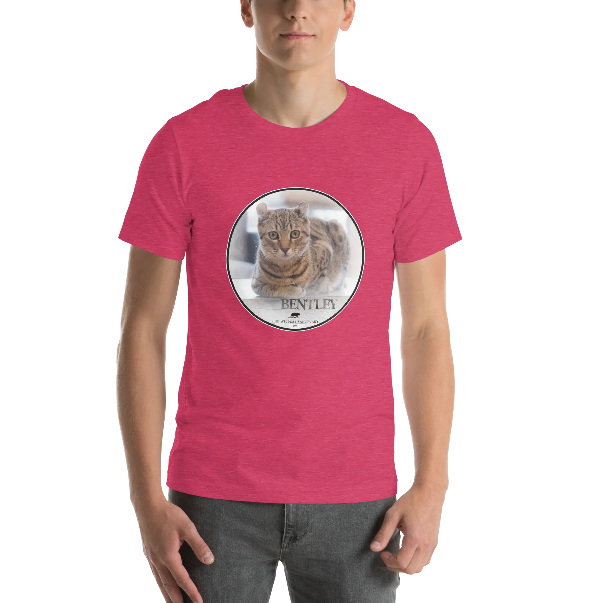Highlander Lynx Hybrid Bentley Unisex t-shirt