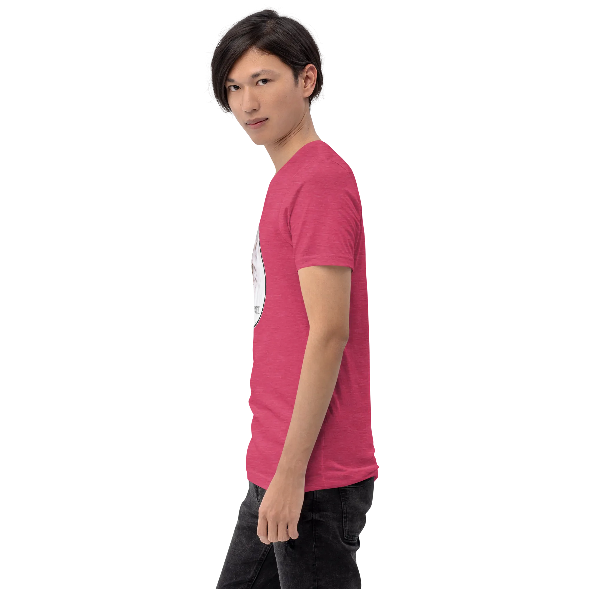 Highlander Lynx Hybrid Comet Unisex t-shirt