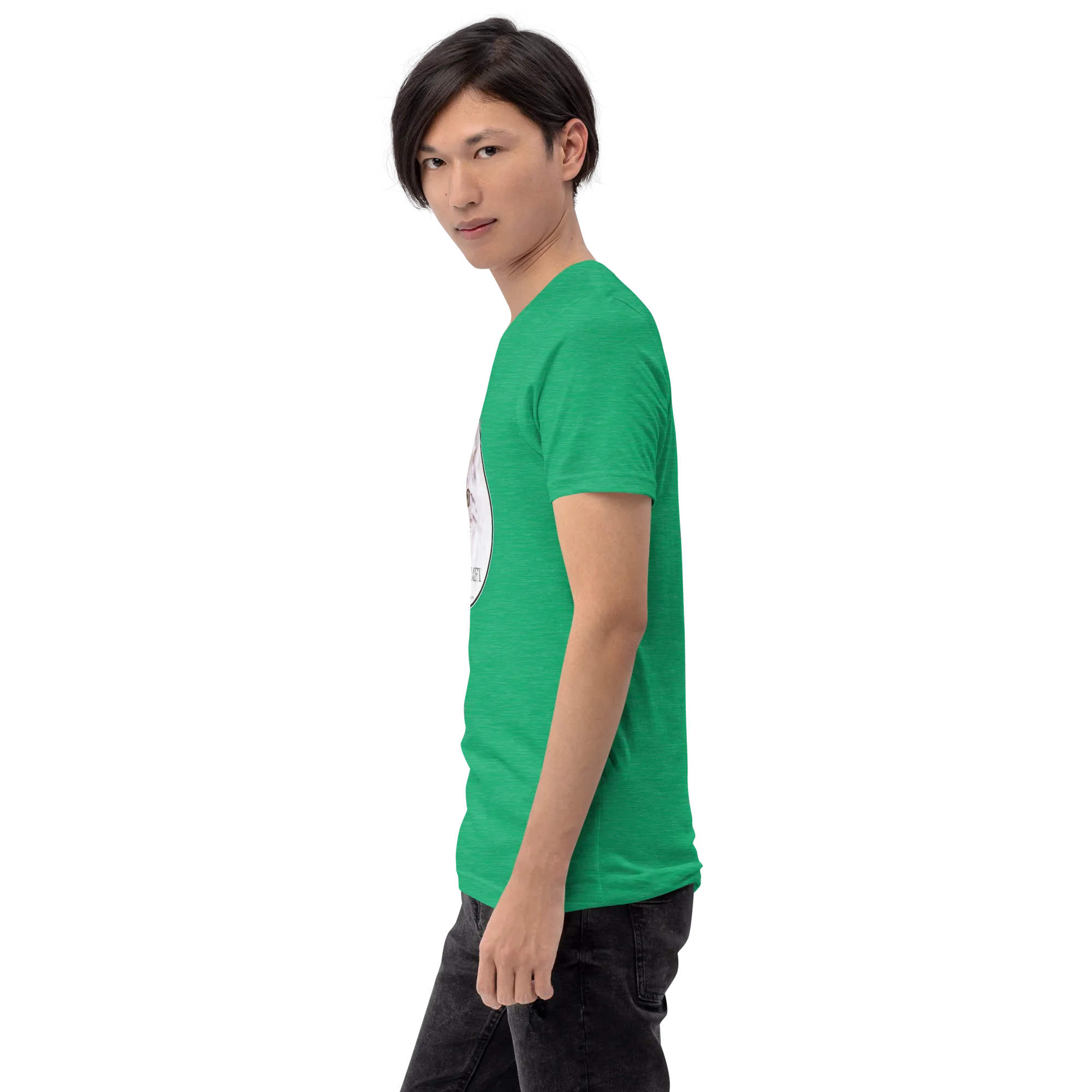 Highlander Lynx Hybrid Comet Unisex t-shirt