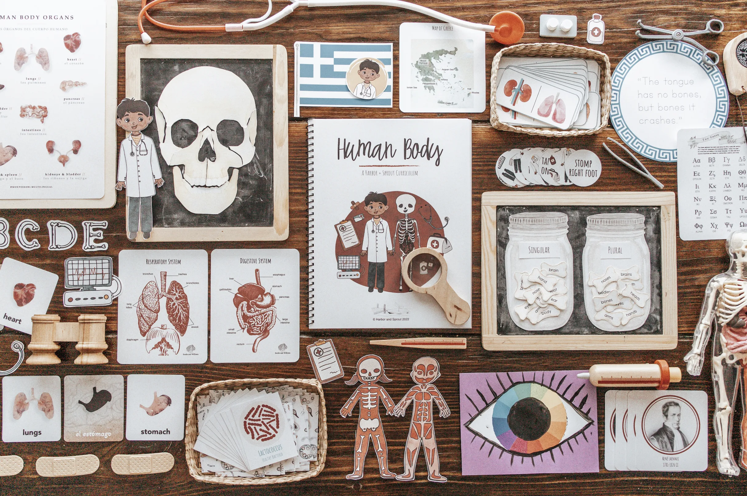 Human Body Patchwork Study