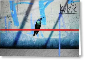 Humming Bird Grafitti - Greeting Card