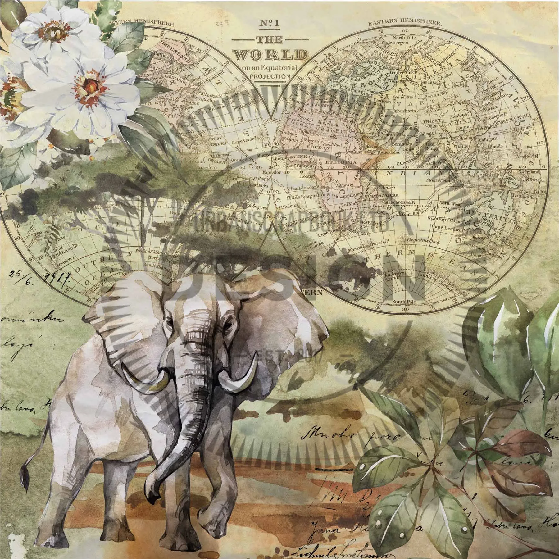 Jungle 6x6 - DIGITAL