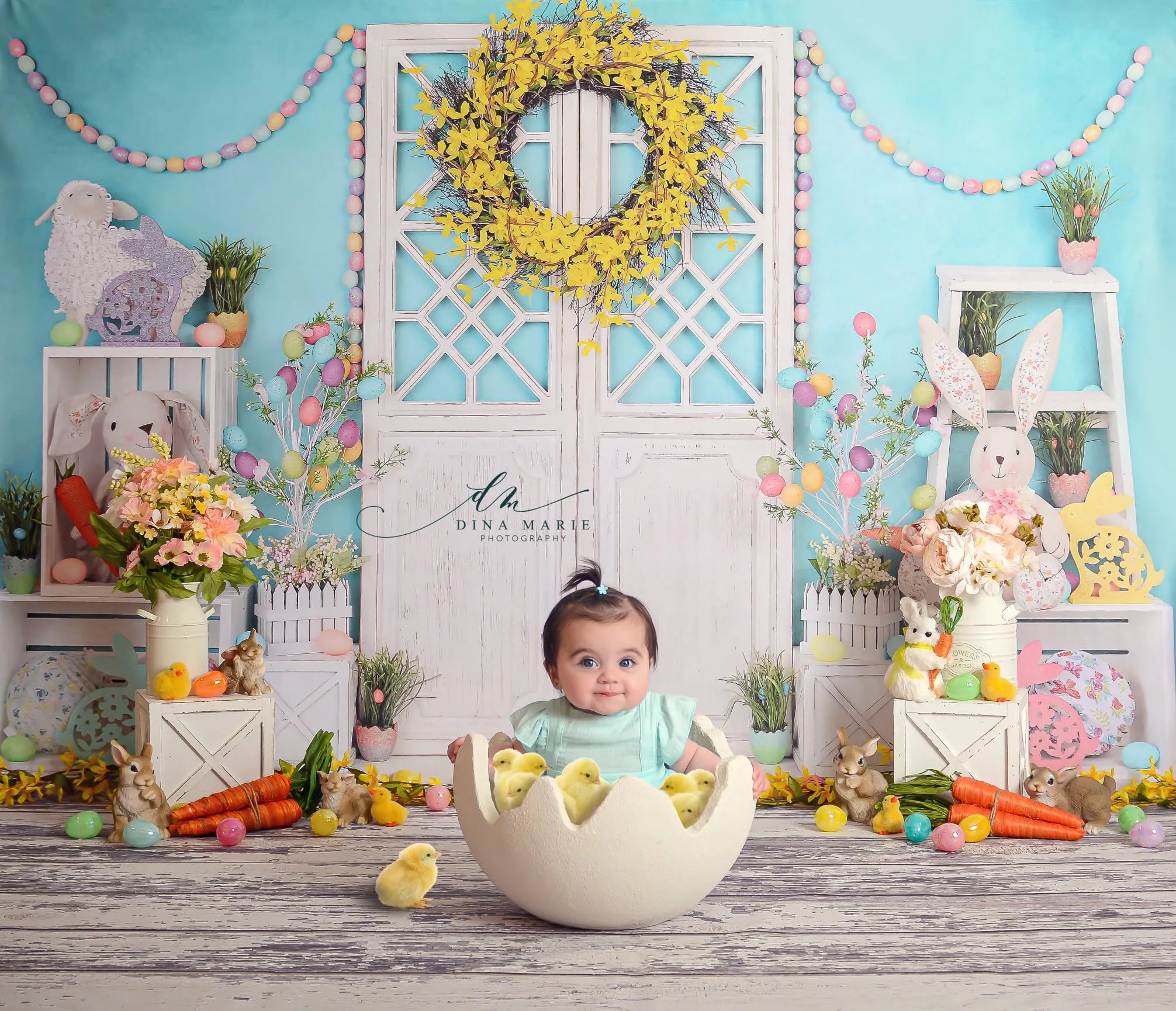 Kate Barn Door Easter Colorful Egg Cake Smash Backdrop for Photography