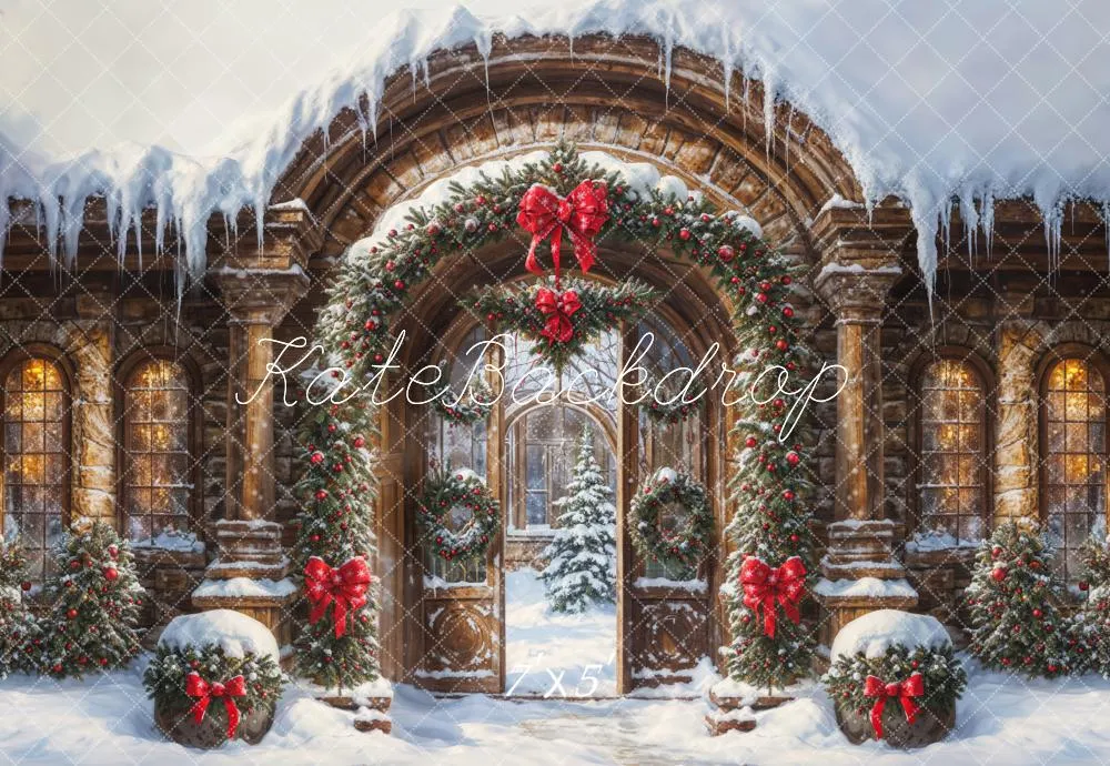 Kate Christmas Snow Vintage Arch Castle Gate Backdrop Designed by GQ