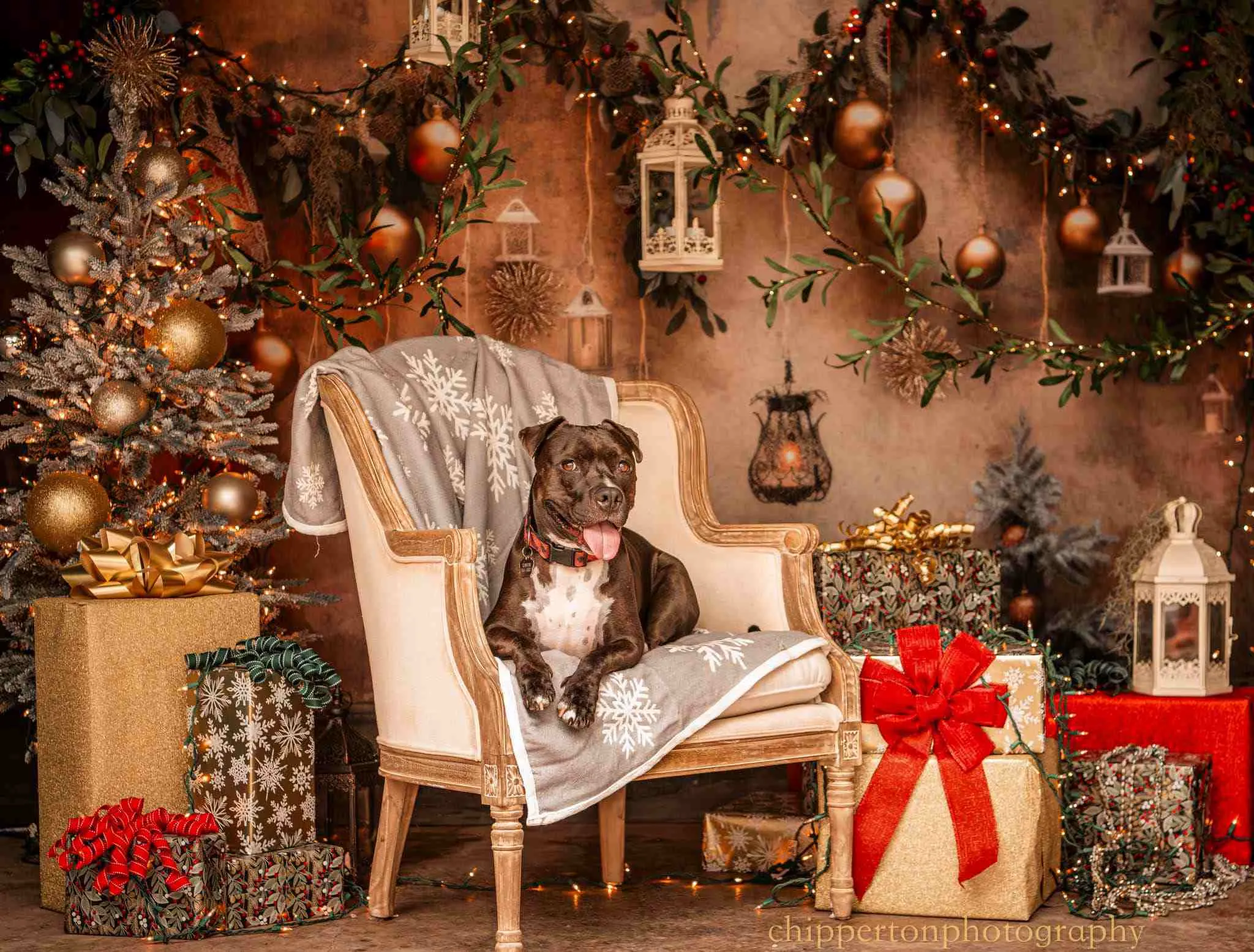 Kate Christmas Vintage Wall Backdrop Designed by Lidia Redekopp