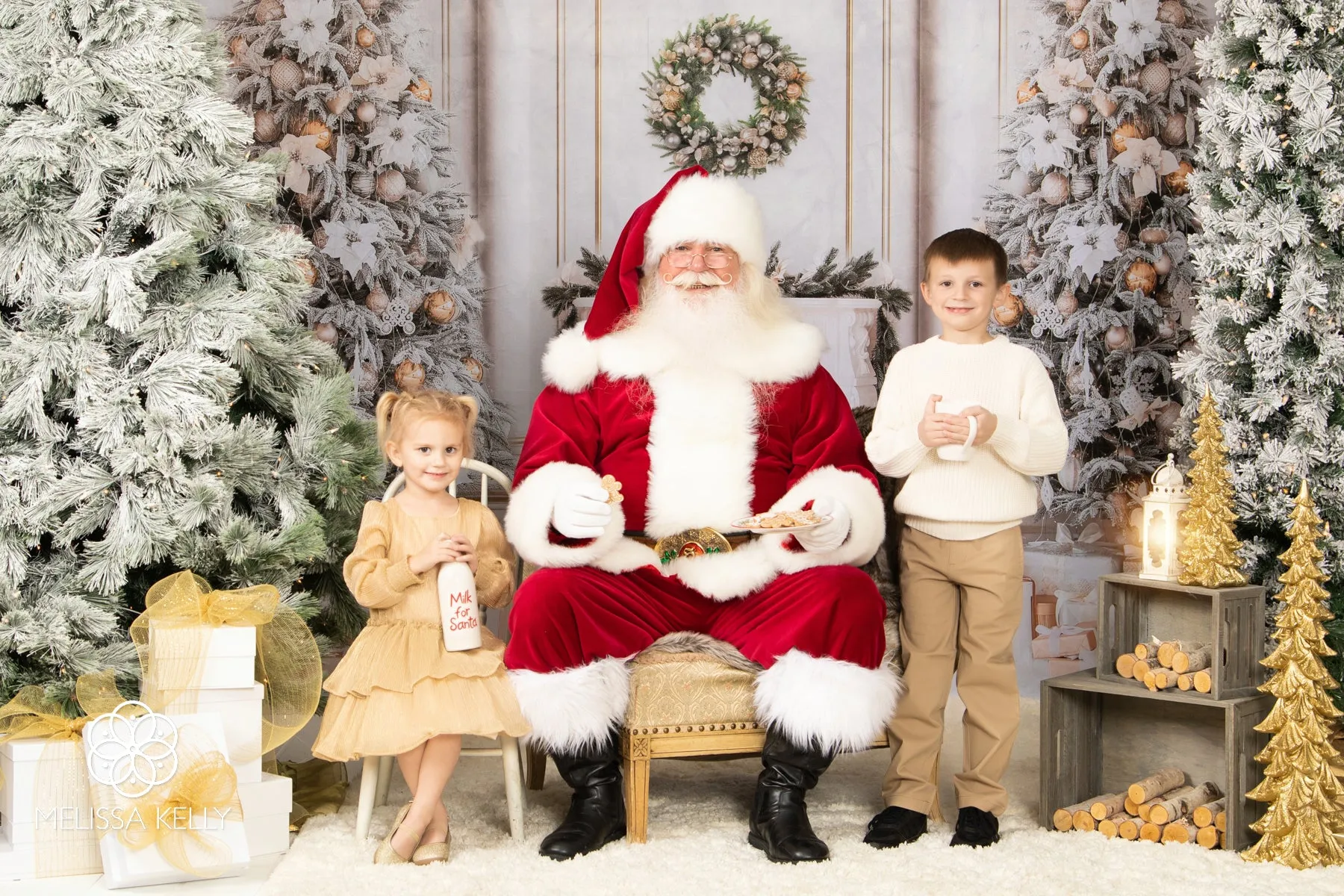 Kate Christmas Vintage Wall Trees Fireplace Backdrop for Photography
