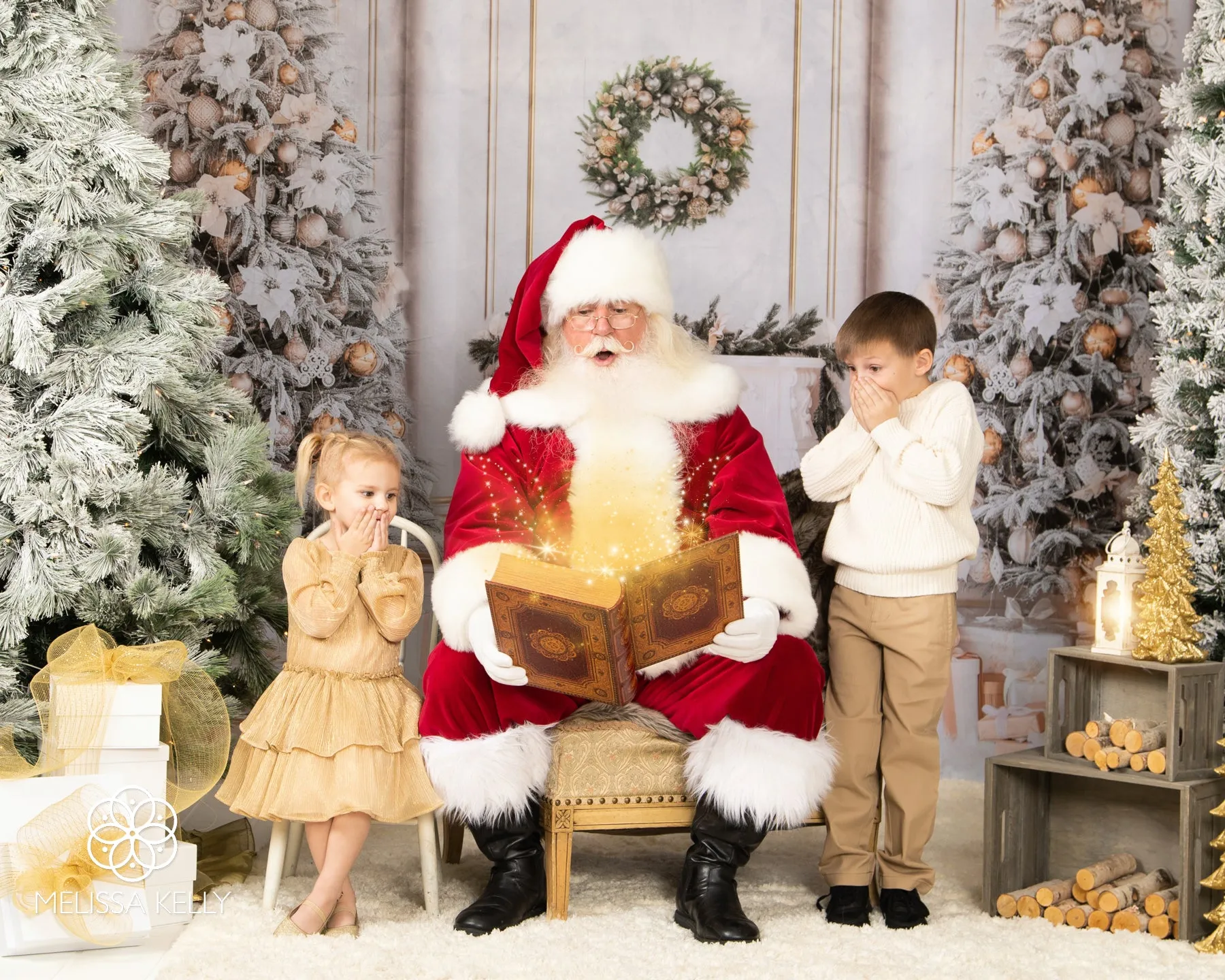 Kate Christmas Vintage Wall Trees Fireplace Backdrop for Photography