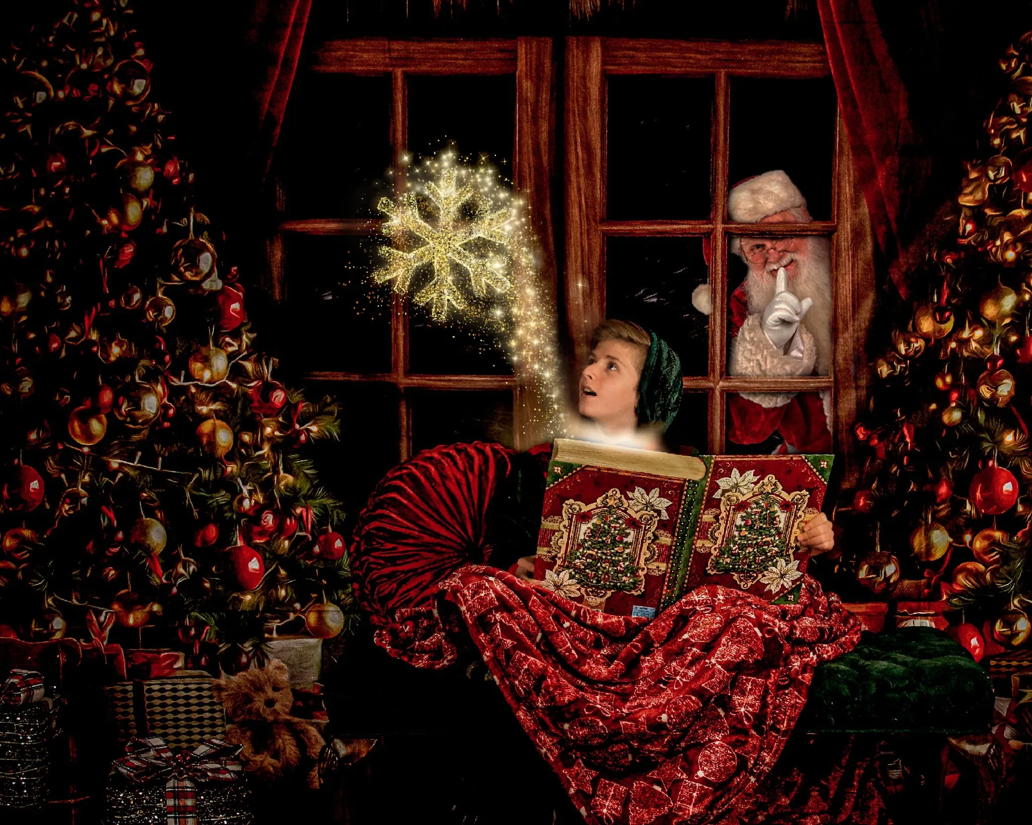 Kate Christmas Window Vintage Wood Tree Backdrop for Photography