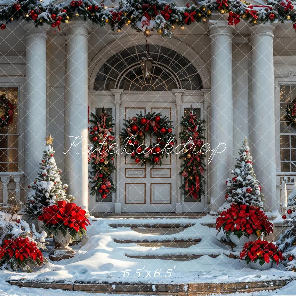Kate Christmas Winter White Vintage House Backdrop Designed by Emetselch