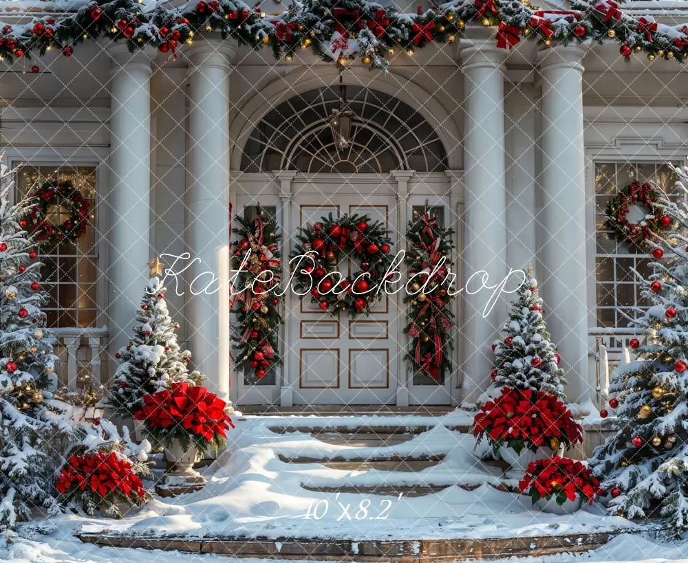 Kate Christmas Winter White Vintage House Backdrop Designed by Emetselch