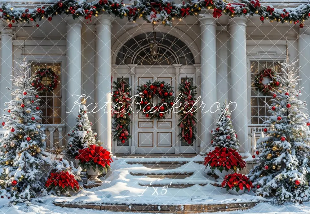 Kate Christmas Winter White Vintage House Backdrop Designed by Emetselch