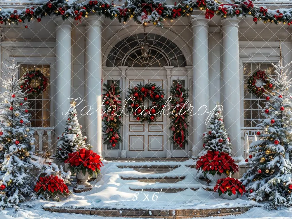 Kate Christmas Winter White Vintage House Backdrop Designed by Emetselch