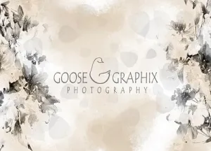Kate Florals Backdrop Vintage Petals Designed by Amanda Moffatt