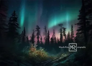Kate Forest Colorful Northern Lights Backdrop Designed by Mandy Ringe Photography