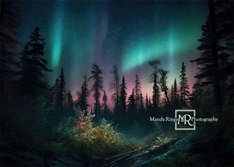 Kate Forest Colorful Northern Lights Backdrop Designed by Mandy Ringe Photography