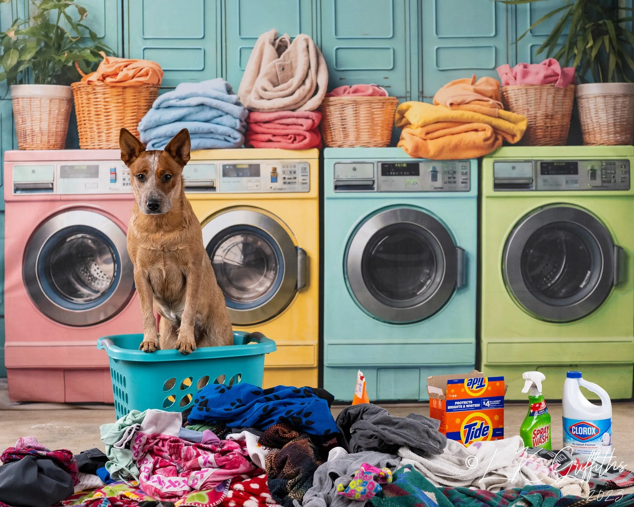 Kate Laundry Day Colorful Washing Machine Backdrop Designed by Chain Photography