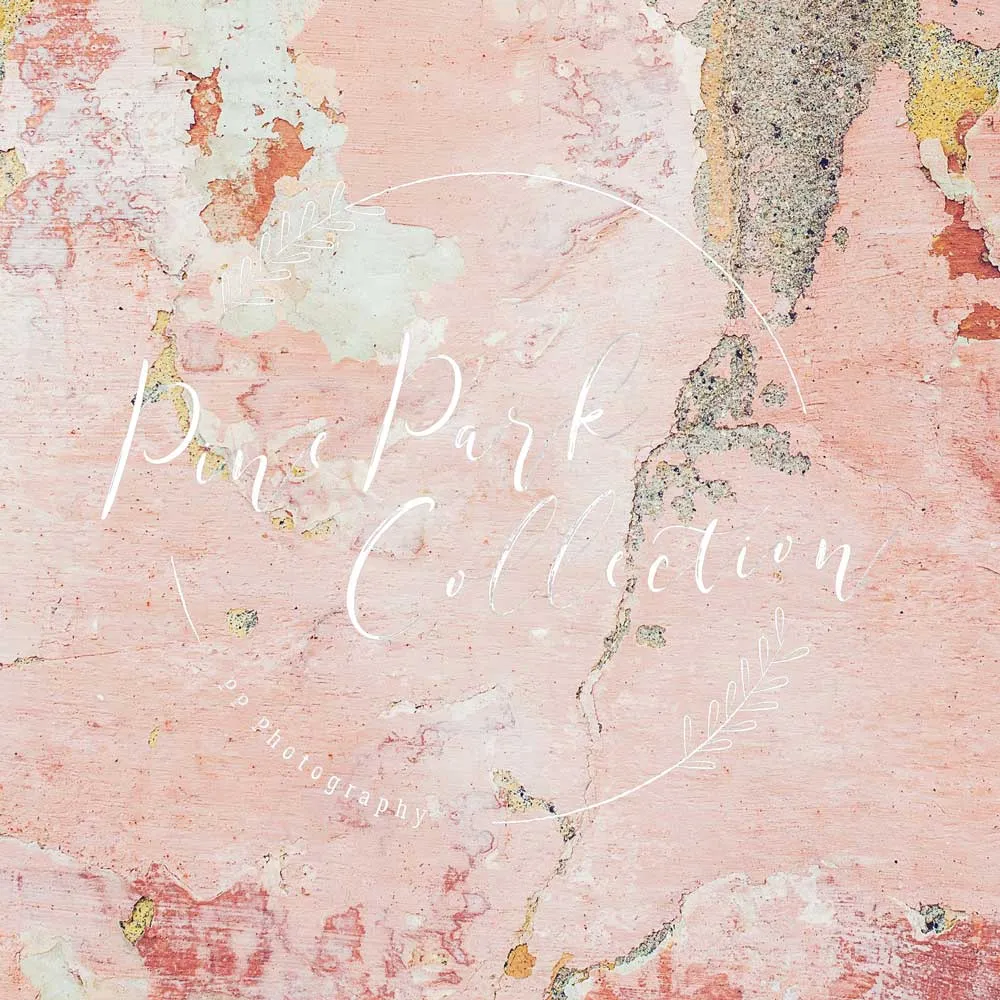 Kate Pink Stucco Wall Backdrop Designed By Pine Park Collection