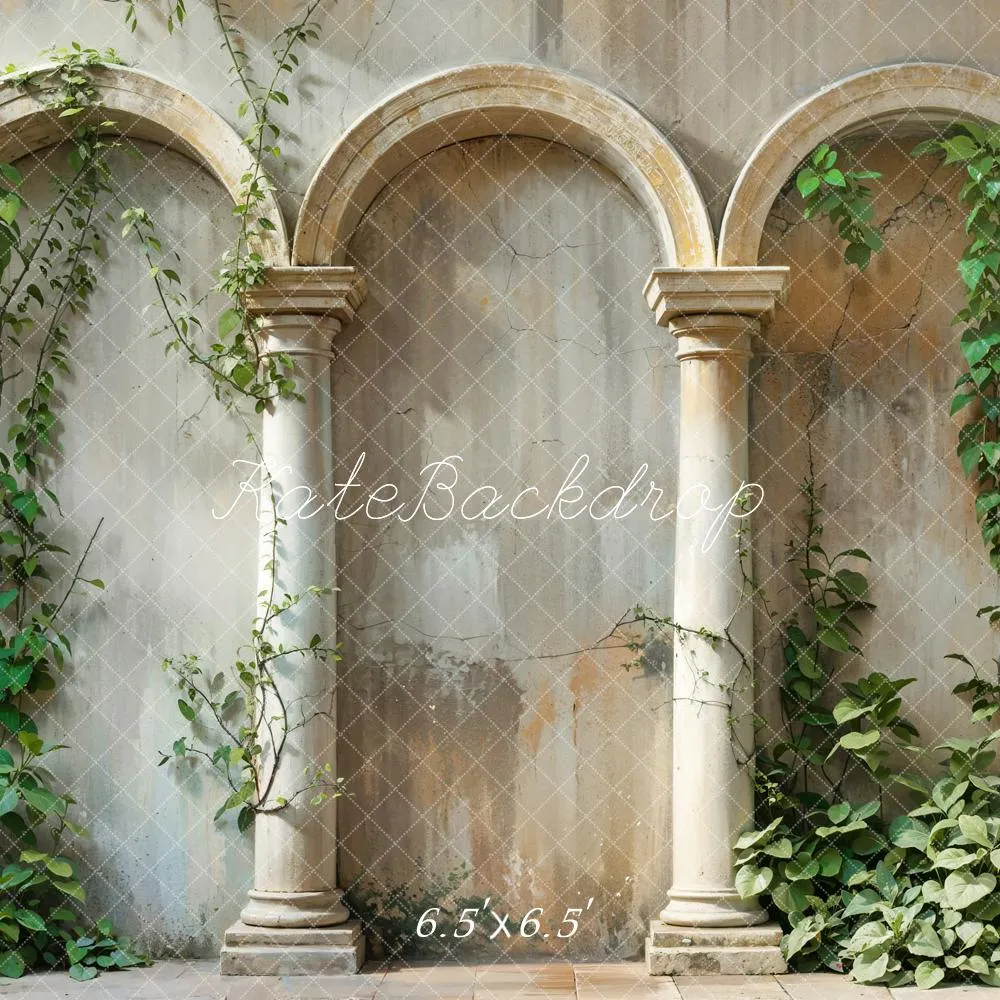 Kate Spring Green Plant Vintage Beige Arch Wall Backdrop Designed by Emetselch
