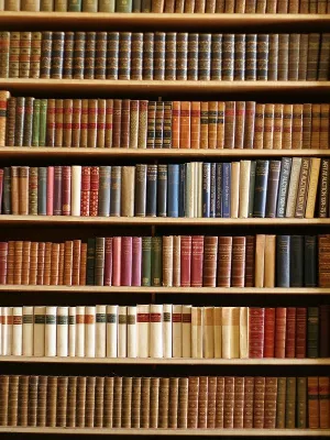 Kate Vintage bookshelf backdrop bookcase indoor background