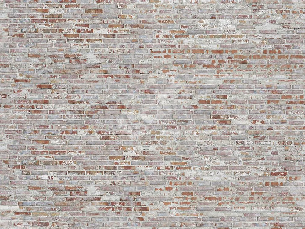 Kate Vintage Brick Backdrop Grey for Portrait Designed by Jia Chan Photography