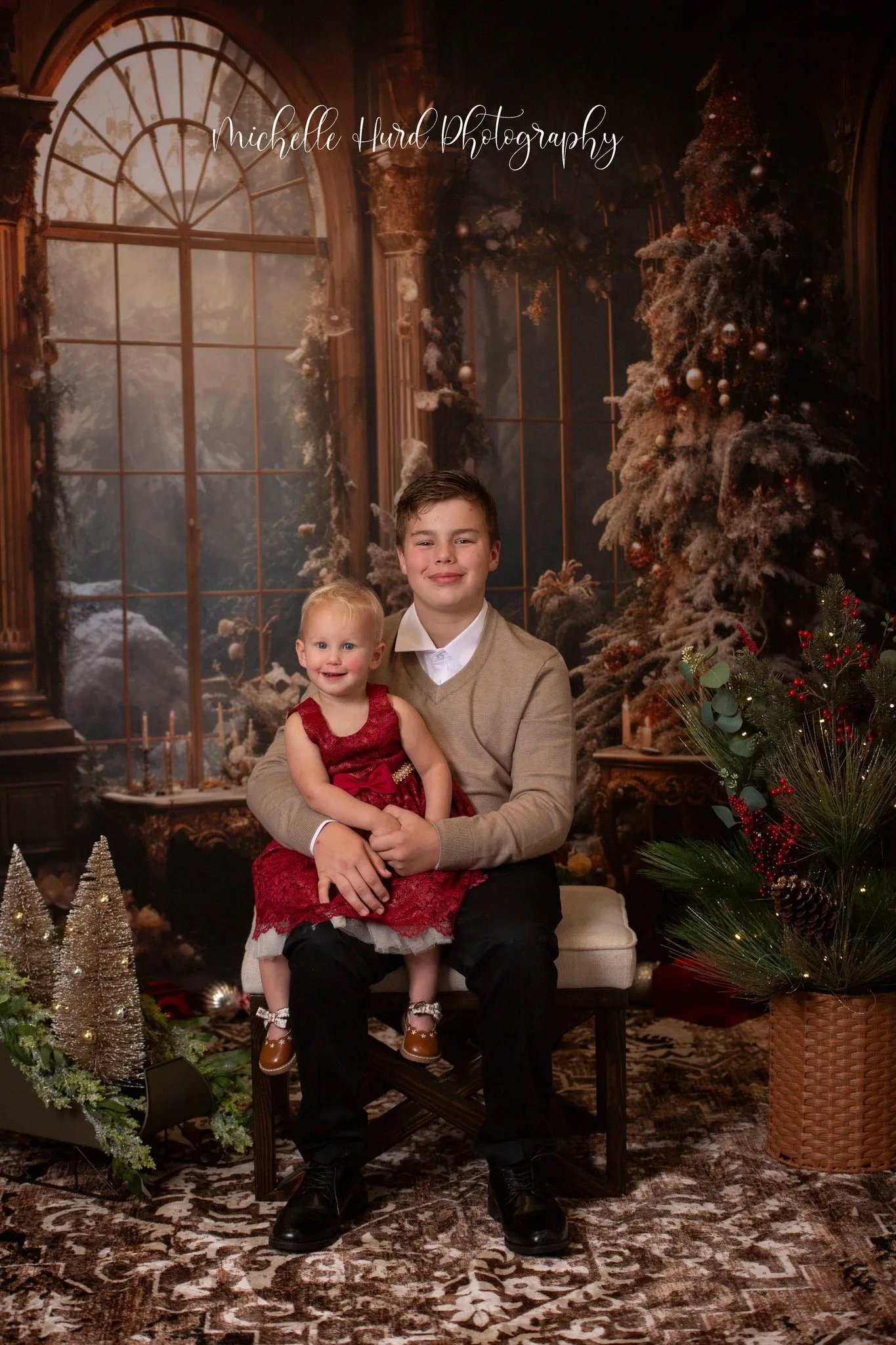 Kate Vintage Christmas Tree Window Backdrop for Photography