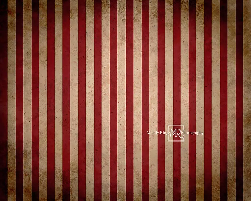 Kate Vintage Circus Stripes Children Backdrop Designed By Mandy Ringe Photography