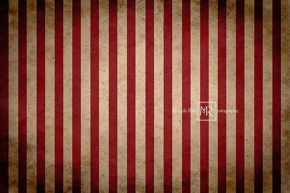 Kate Vintage Circus Stripes Children Backdrop Designed By Mandy Ringe Photography