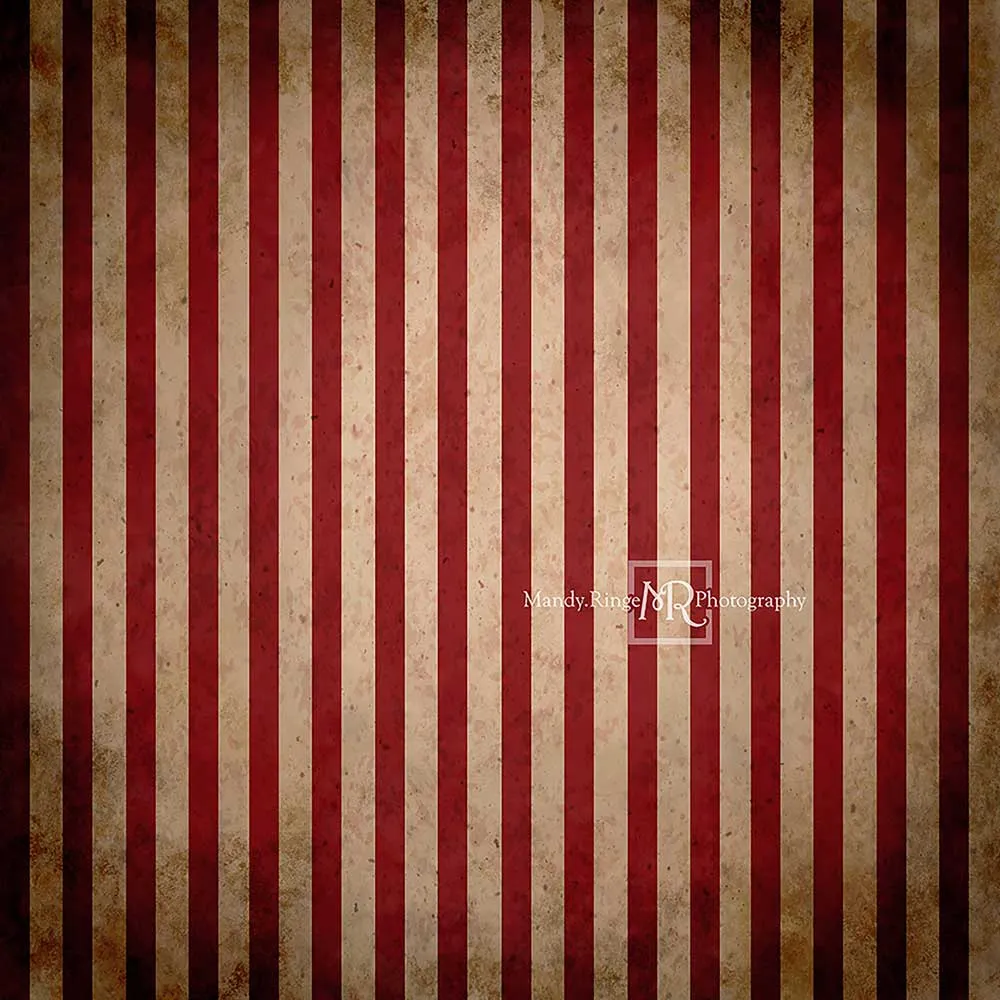 Kate Vintage Circus Stripes Children Backdrop Designed By Mandy Ringe Photography