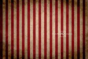 Kate Vintage Circus Stripes Children Backdrop Designed By Mandy Ringe Photography