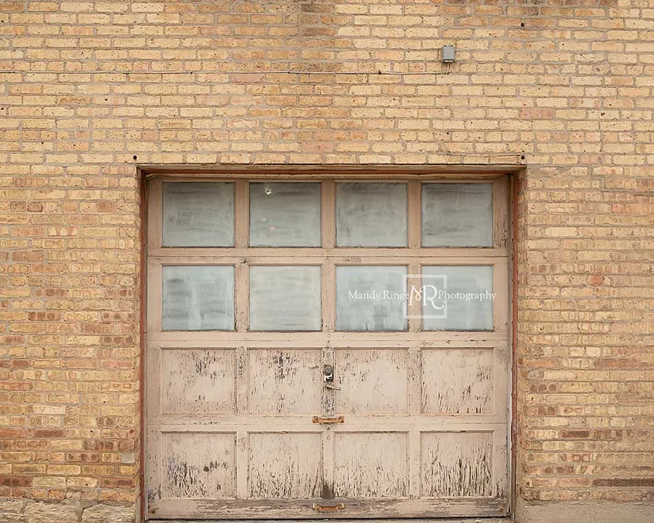 Kate Vintage Garage Door Backdrop Designed by Mandy Ringe Photography