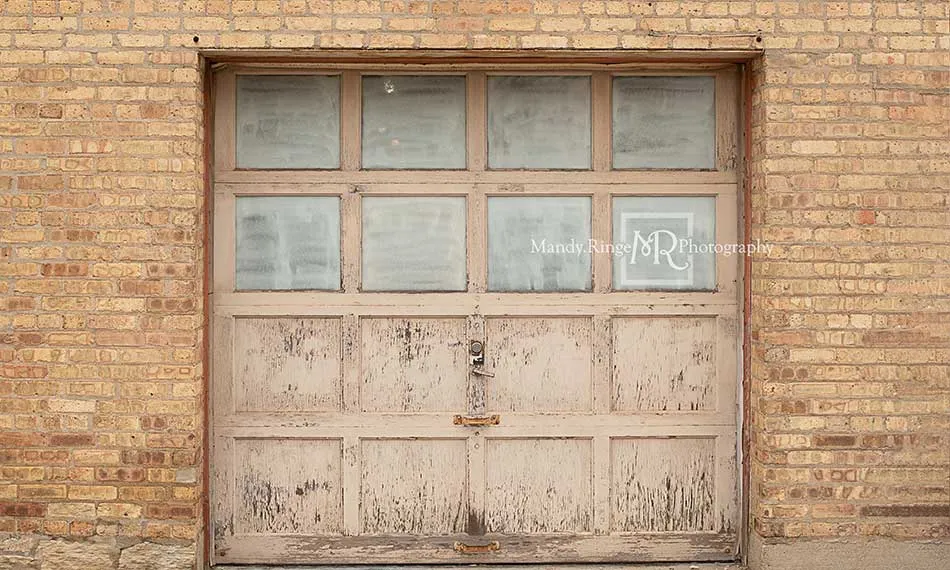Kate Vintage Garage Door Backdrop Designed by Mandy Ringe Photography