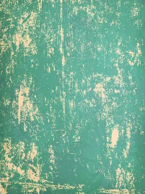 Kate Vintage Green Backdrops for Photographer Photo Studio