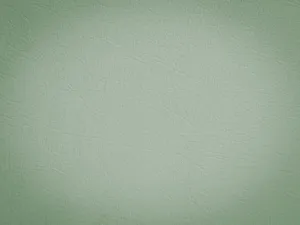 Kate Vintage Green Textured Wall Backdrop For Studio Photography